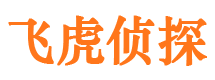 江油私家调查公司